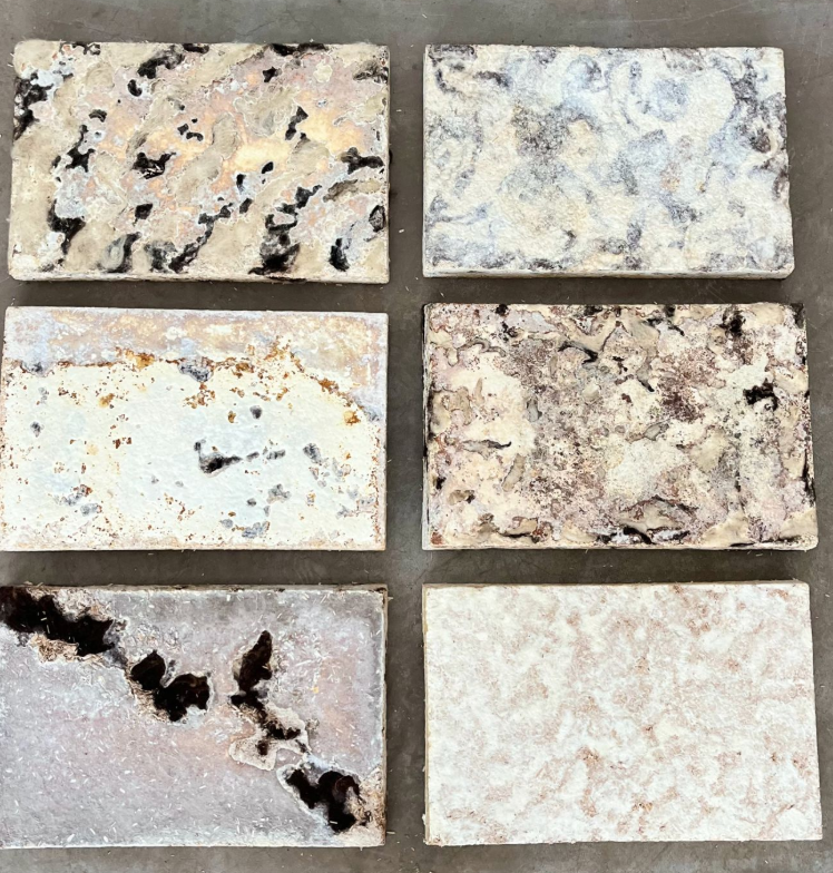 Mycelium wool panels