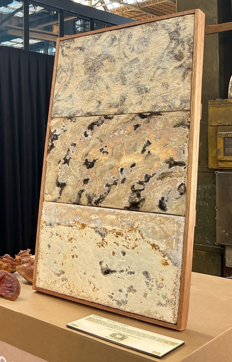 Mycelium wool panels