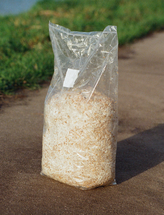 Ready to use mycelium (40L/4 bags)