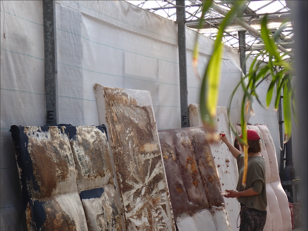 Masterclass Mycelium product development for professionals November 21, 2026