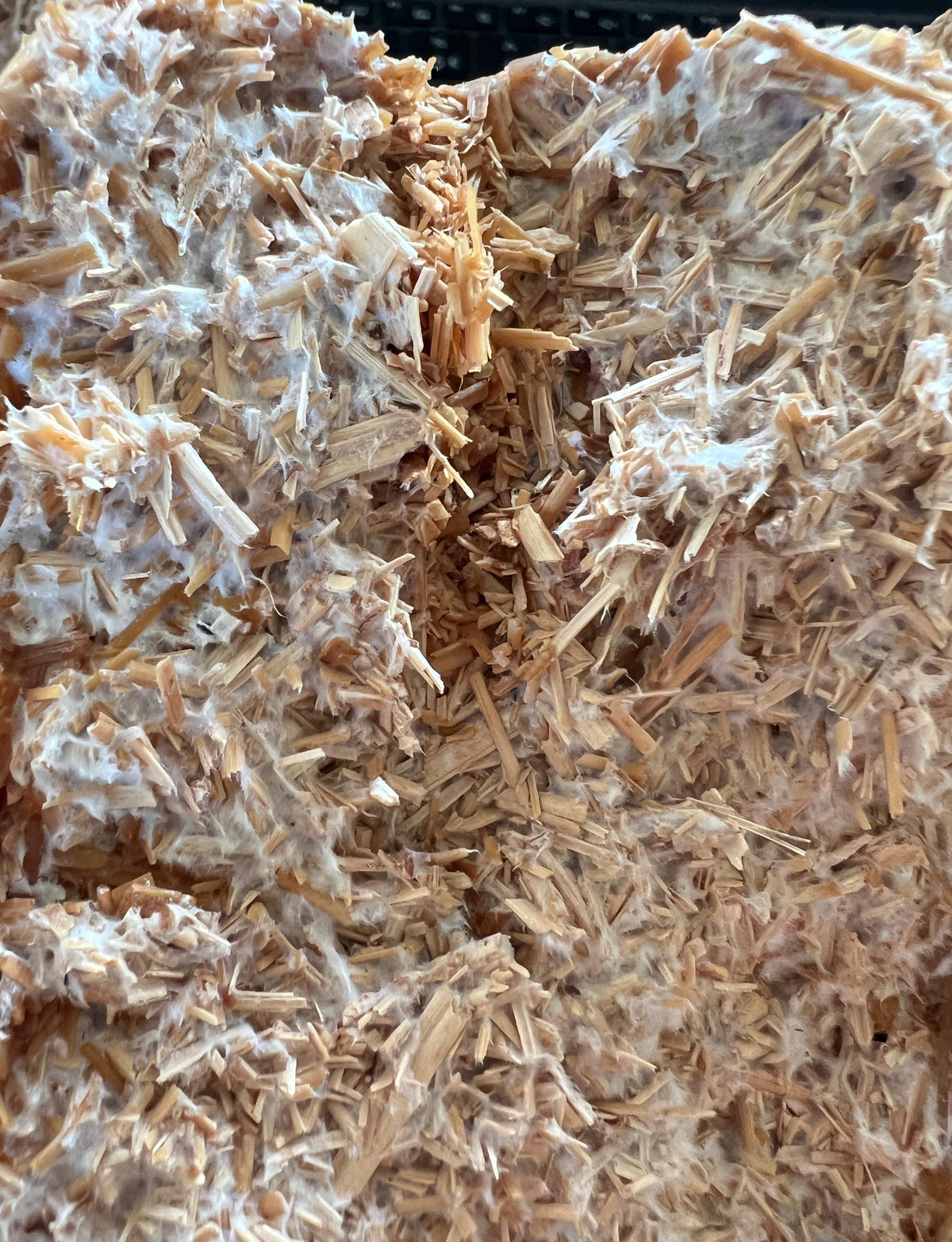 Tailor made mycelium (Made to order)