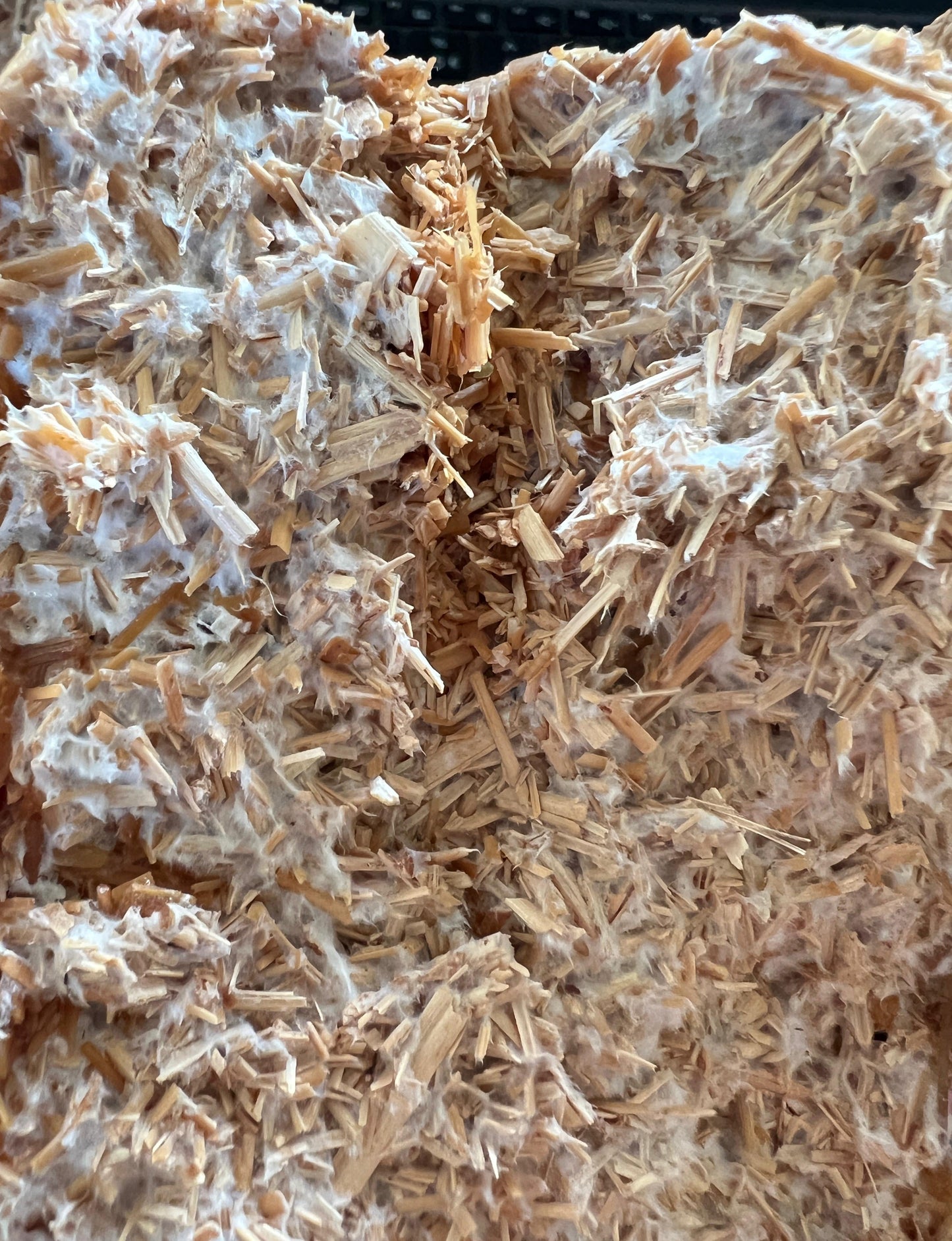 Tailor made mycelium (Made to order)