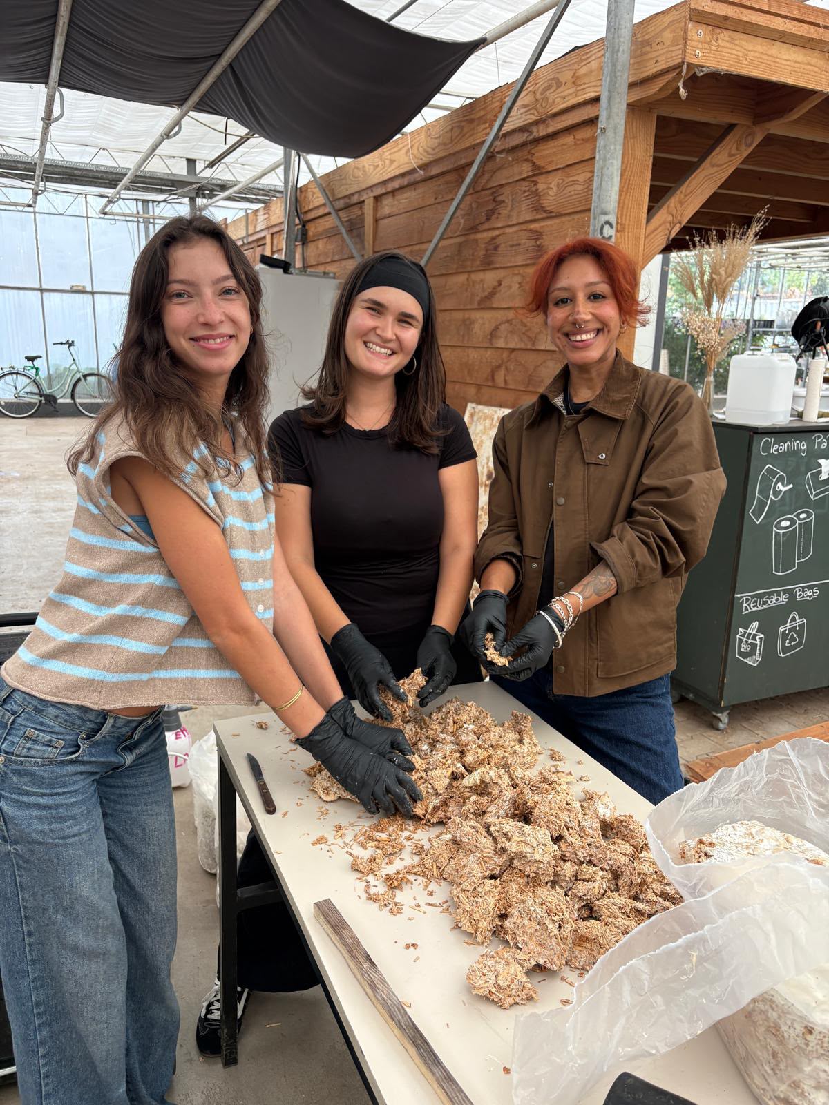 Masterclass Mycelium product development for professionals November 21, 2026