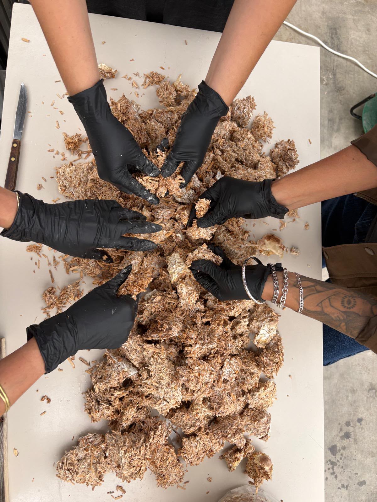 Masterclass Mycelium product development for professionals November 21, 2026