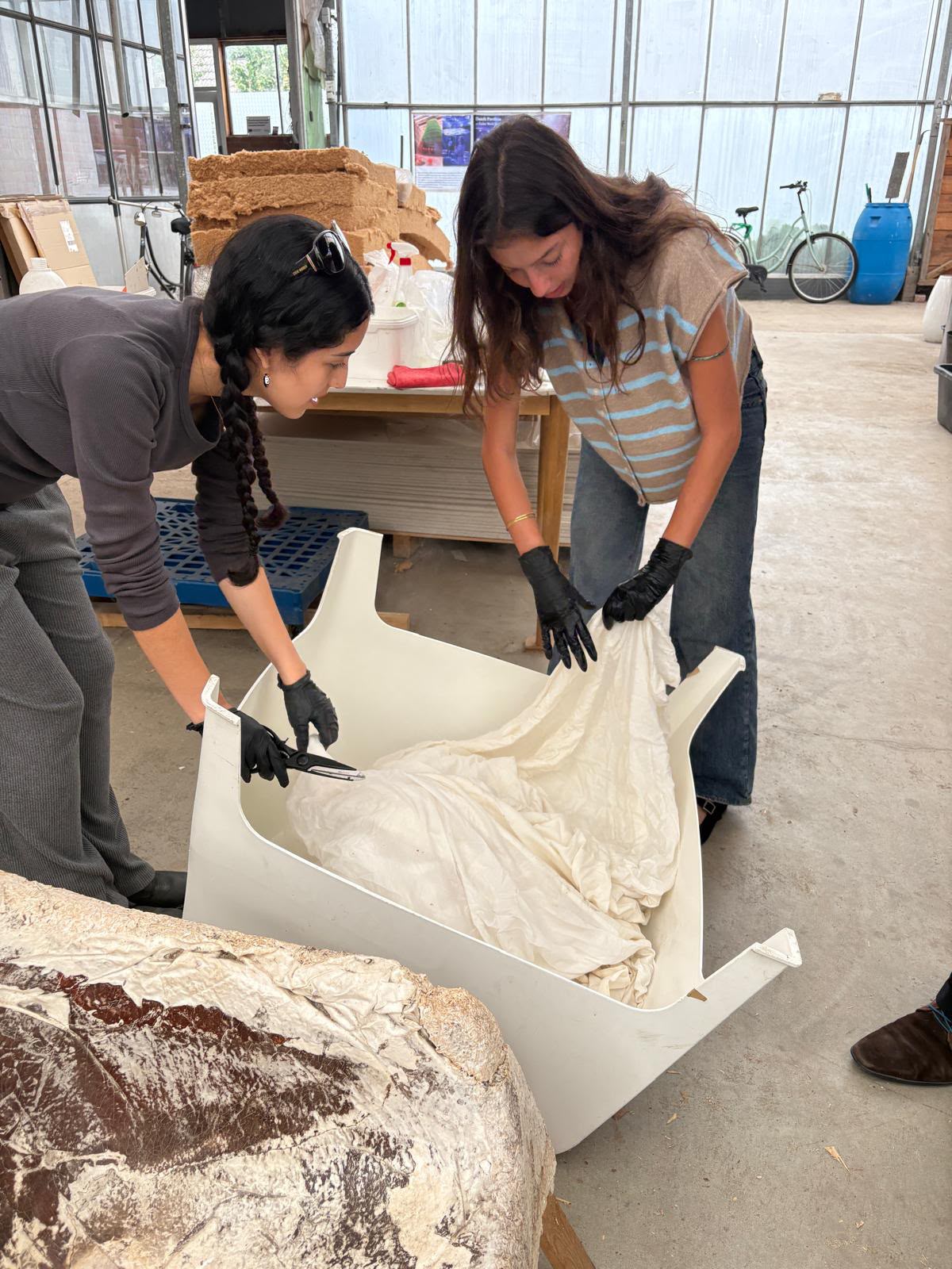Masterclass Mycelium product development for professionals November 21, 2026