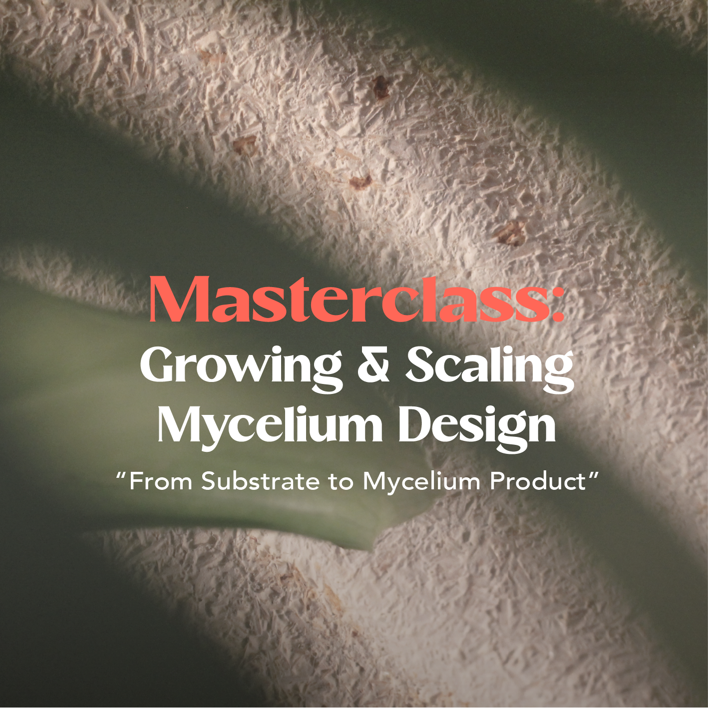 Masterclass From substrate to product